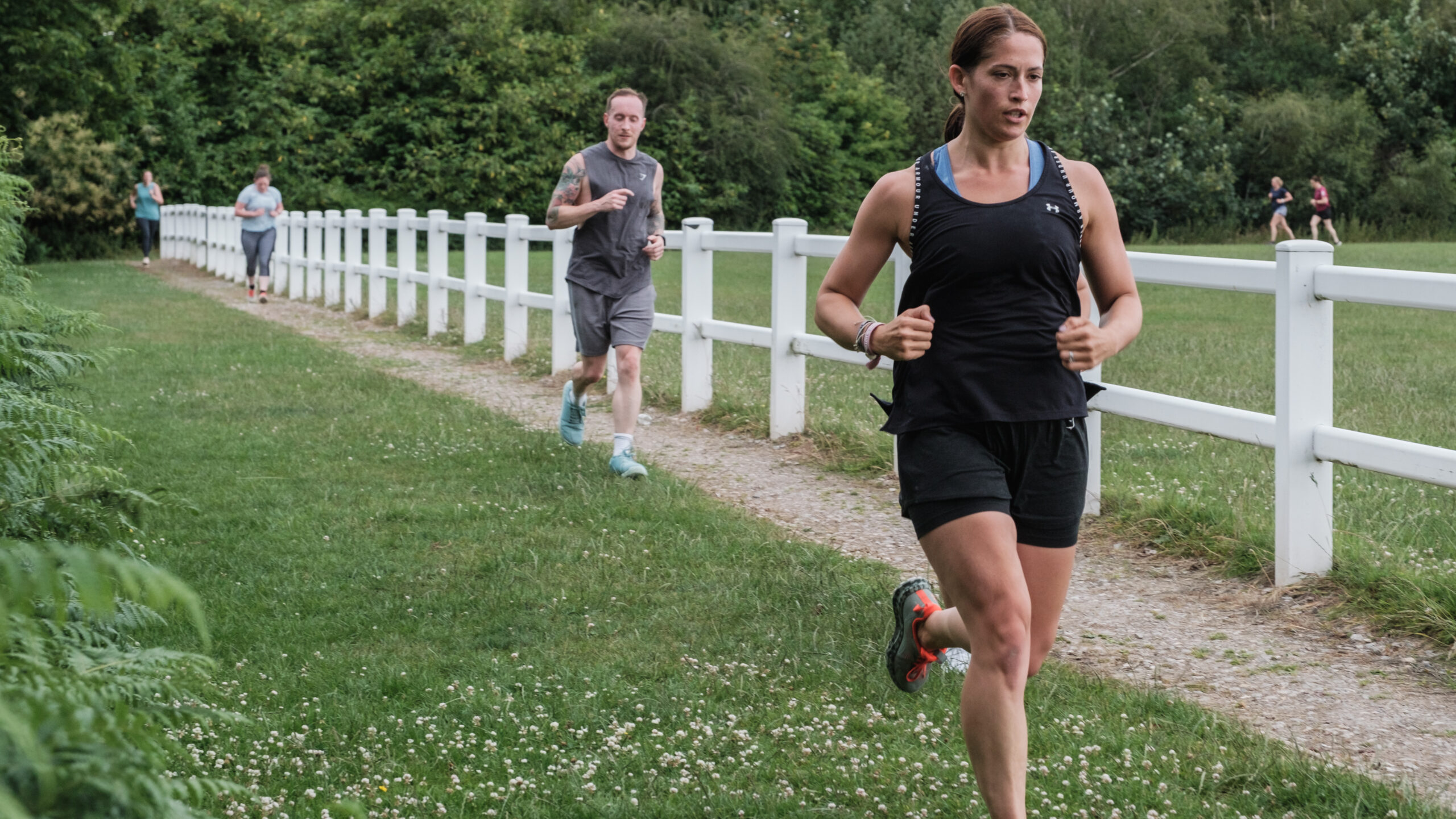 On a run next to a white picket fence and green grass